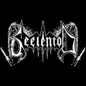 Seelentod profile picture