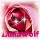 LunaWolf profile picture