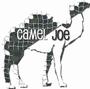 Camel Joe profile picture