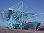 The ILWU profile picture