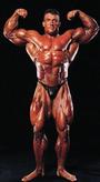 Bodybuilding Dungeon profile picture
