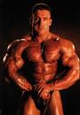 Bodybuilding Dungeon profile picture