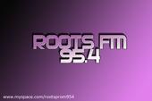 Roots 95.4 Fm profile picture