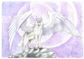 WingedWolf profile picture