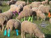 Luminescent Sheep profile picture