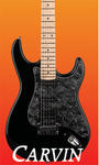 CARVIN Guitars Amps Pro Audio profile picture