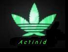 Actinid Music profile picture