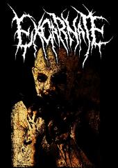 EXCARNATE(is coming back in August!!) profile picture