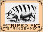 Striped Pig Stringband profile picture