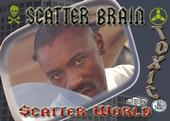 Scatter Brain profile picture