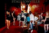 STALLIONS -R- US profile picture