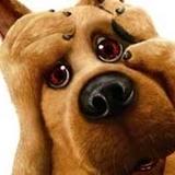 ScoobyDoo Â®â„¢ profile picture