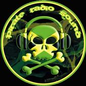 PIRATE RADIO profile picture