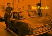 Oriol Vandela profile picture