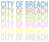 City of Breach profile picture