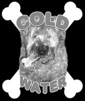 Cold Outta Water profile picture