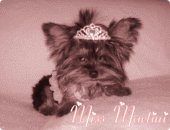 ×♥MiSS.MARTiNi♥× profile picture