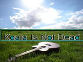 Koala Is Not Dead ~ New song Smile Day online !!! profile picture