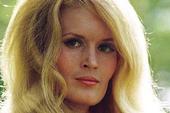 Lynn Anderson profile picture