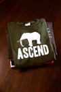 ASCEND APPAREL profile picture