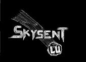 SKYSENT LU profile picture