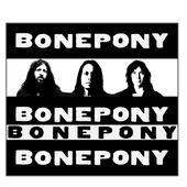 Bonepony profile picture