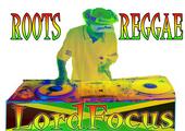 lordfocus selecta profile picture