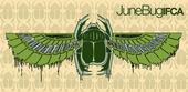 JUNEBUG I.F.C.A profile picture