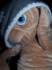 E.T. IN HATS profile picture