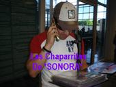 club*las chaparritas de SONORA profile picture