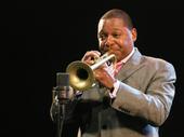 Wynton Marsalis profile picture