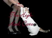 High Heel Catz profile picture