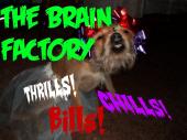 The Brain Factory profile picture