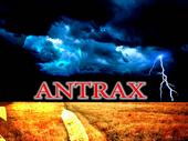 ANTRAX profile picture