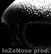 InZeNose profile picture