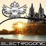 Electrosonic Festival profile picture