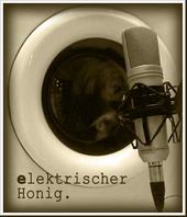 elektrischer Honig profile picture