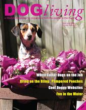 Dog Living Magazine profile picture