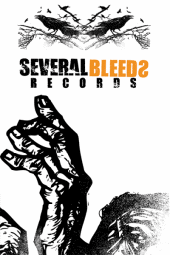 SEVERAL BLEEDS RECORDS profile picture