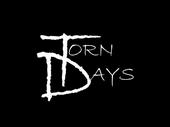 Torn Daysâ„¢ profile picture