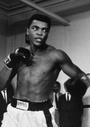 Muhammad Ali Tribute profile picture