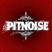 PitNoise profile picture