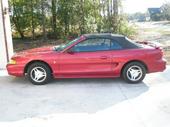 98 Mustang For Sale! let me know if you want it!! profile picture