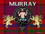 Clan Murray profile picture