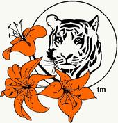 Tiger Lily: Seattle profile picture