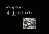 Weapons Of Ass Destruction profile picture