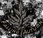 Falling Autumn Clothing profile picture