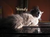 wendy profile picture