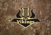 Lost Vikings profile picture