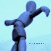 polypolar profile picture